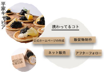 平家キャビア携わってること見出し